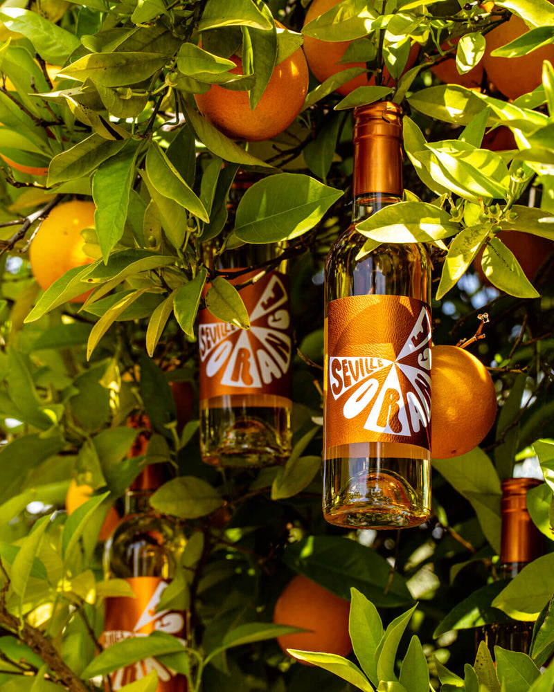 MOMMENPOP Seville Orange bottle in an orange tree